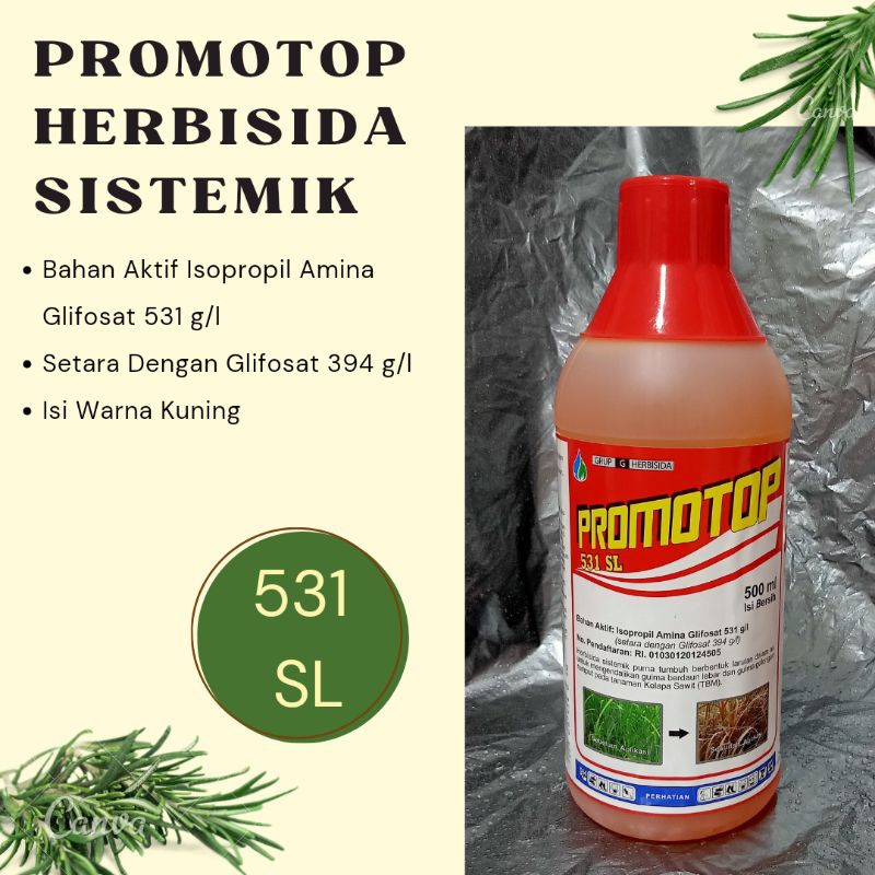 PROMOTOP 531SL HERBISIDA SISTEMIK PEMBASMI RUMPUT