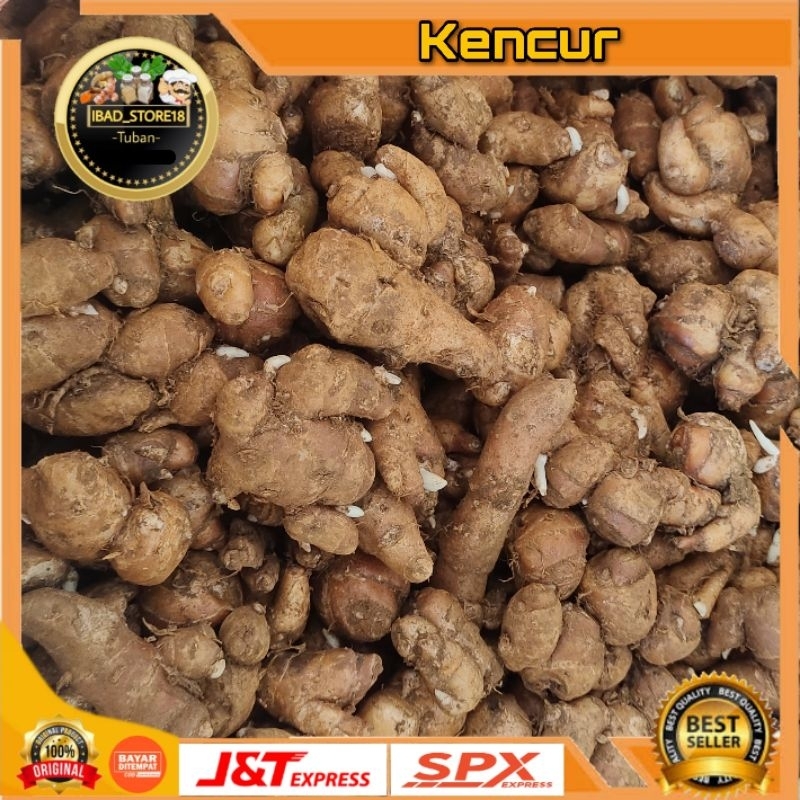 

Kencur Herbal Super Fresh 500gram/1kg