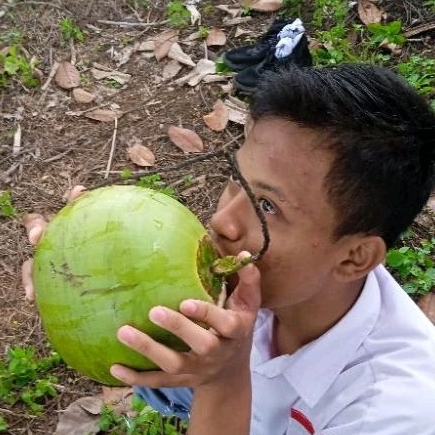 

KELAPA_MUDA_ASLI