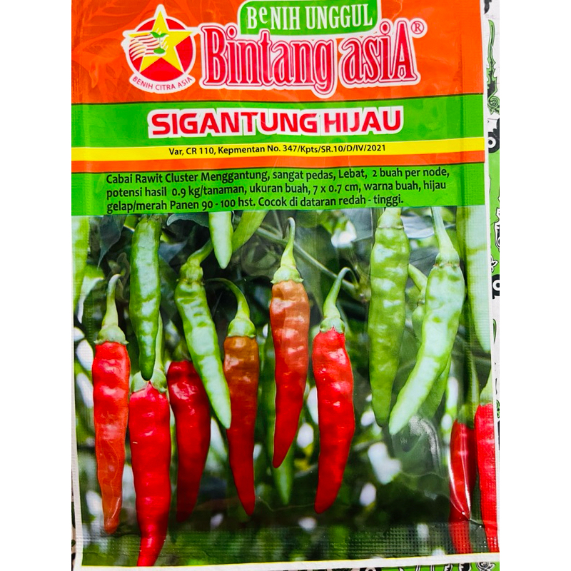 Benih cabe Rawit SIGANTUNG HIJAU 10Gr Cap Bintang Asia