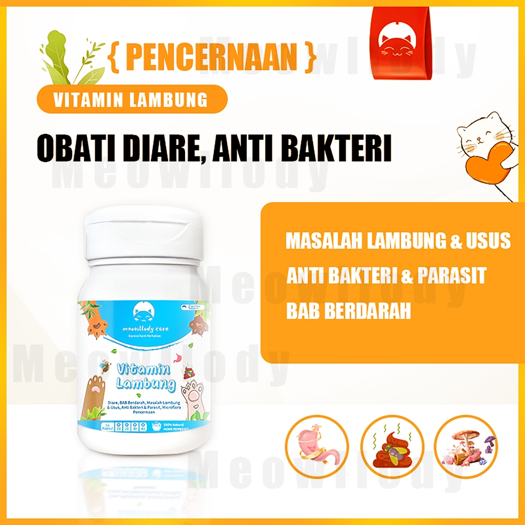 Vitamin Kucing1Kaps MASALAH PENCERNAAN untuk Diare Mencret Pup Berdarah dan Radang Usus Sensitif Oba