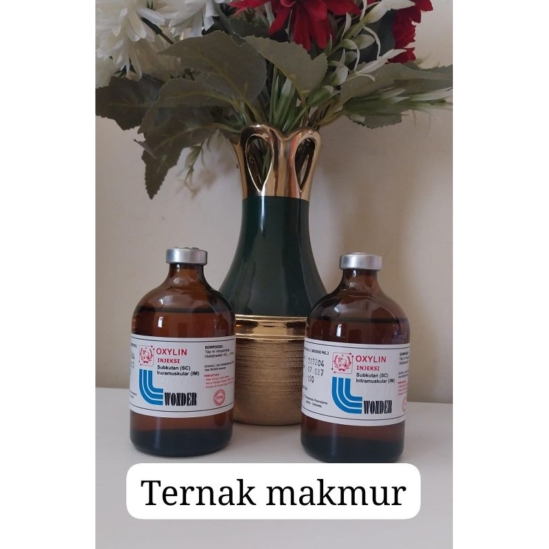 Wonder Oxylin 50 ml injeksi seperti vet oxy dan pyroxy