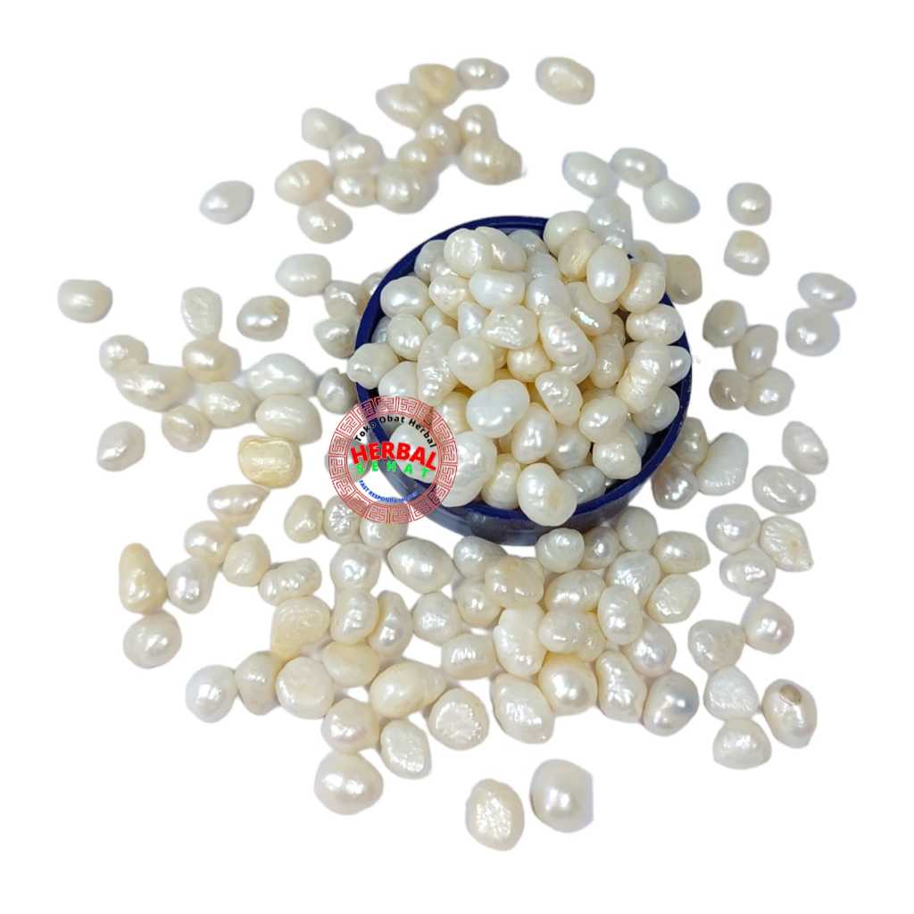

Zhen Zhu Li Mutiara Asli 38 gram Pearl Menenangkan Pikiran