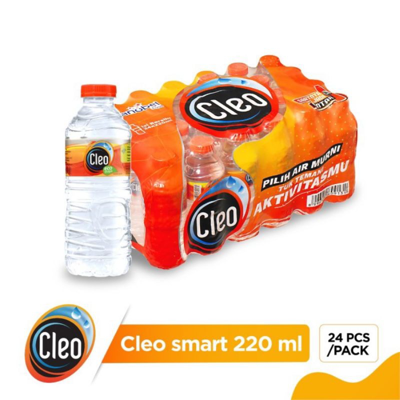 

[ BOTOL KECIL ] Cleo Smart Botol 220 ML isi 24pcs Air Mineral