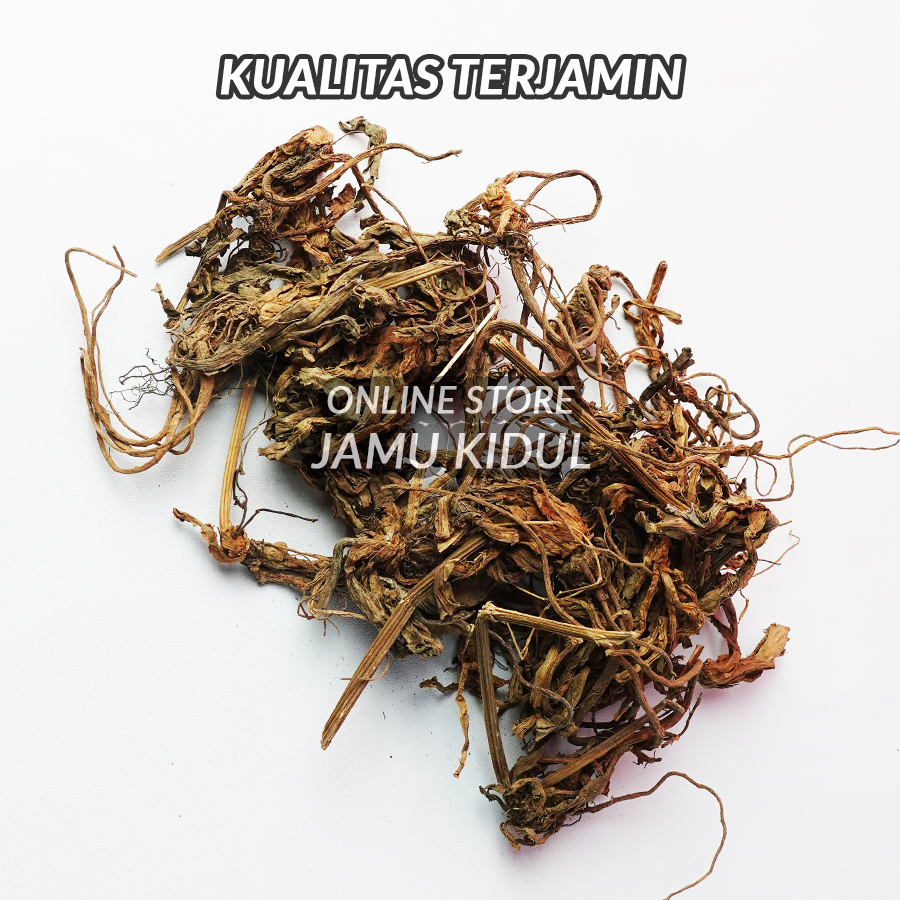 

Akar Purwaceng Kering 50gr Asli Hutan - Untuk Ketahanan Pria