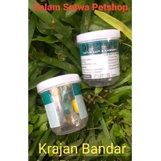 DREMBO KAPSUL NAFSU MAKAN SAPI