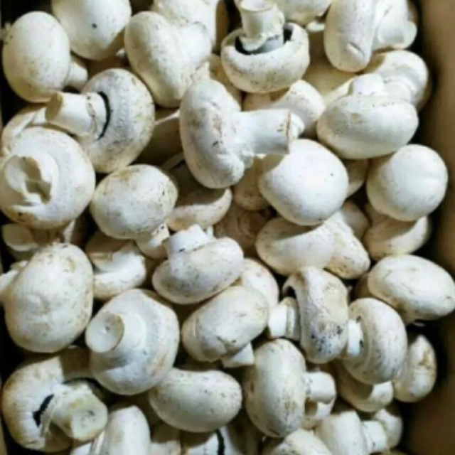 jamur kancing 1kg.Rp 45.000