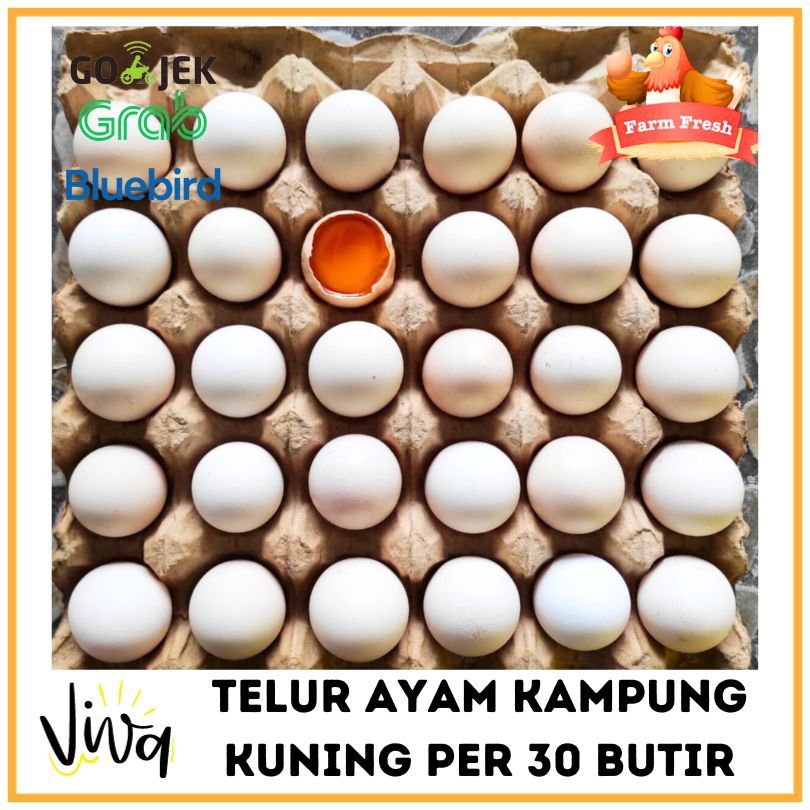 

TELUR AYAM KAMPUNG OMEGA 3 ORGANIK PER 30 BUTIR/1 PAPAN