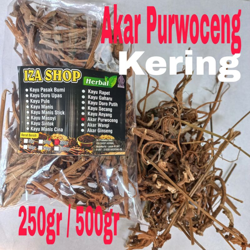 

Akar Purwoceng Kering 500gr