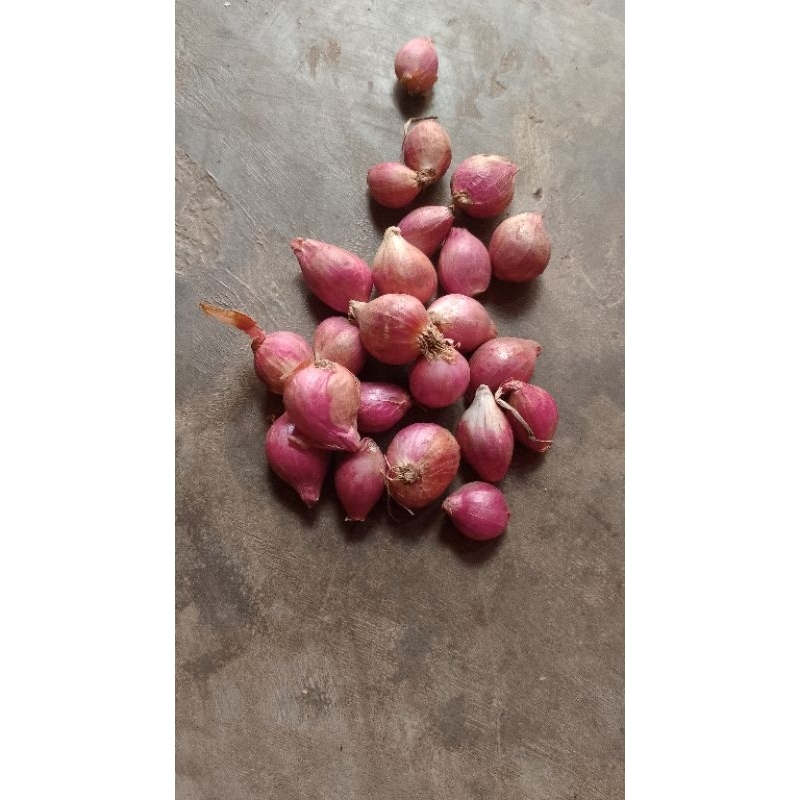 

Bawang merah Probolinggo