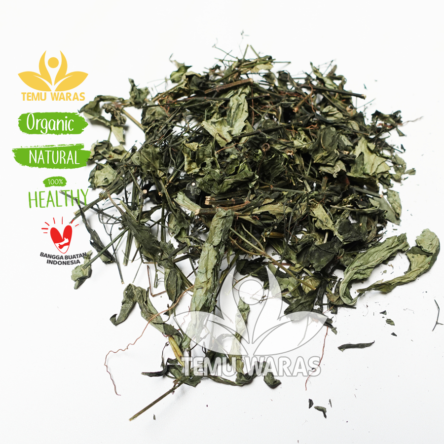 

Sambiloto Kering 250gr Bersih dan Organik - Asli Gunung