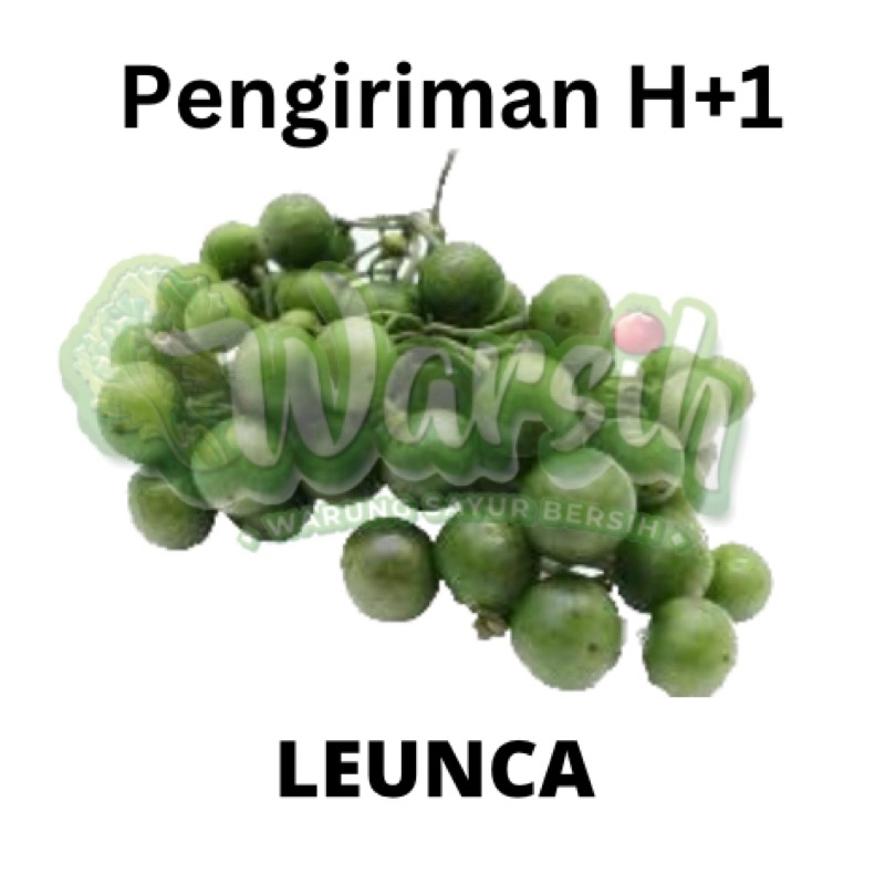 

WARSIH • LEUNCA