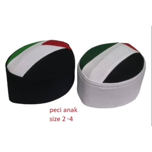 peci palestine anak