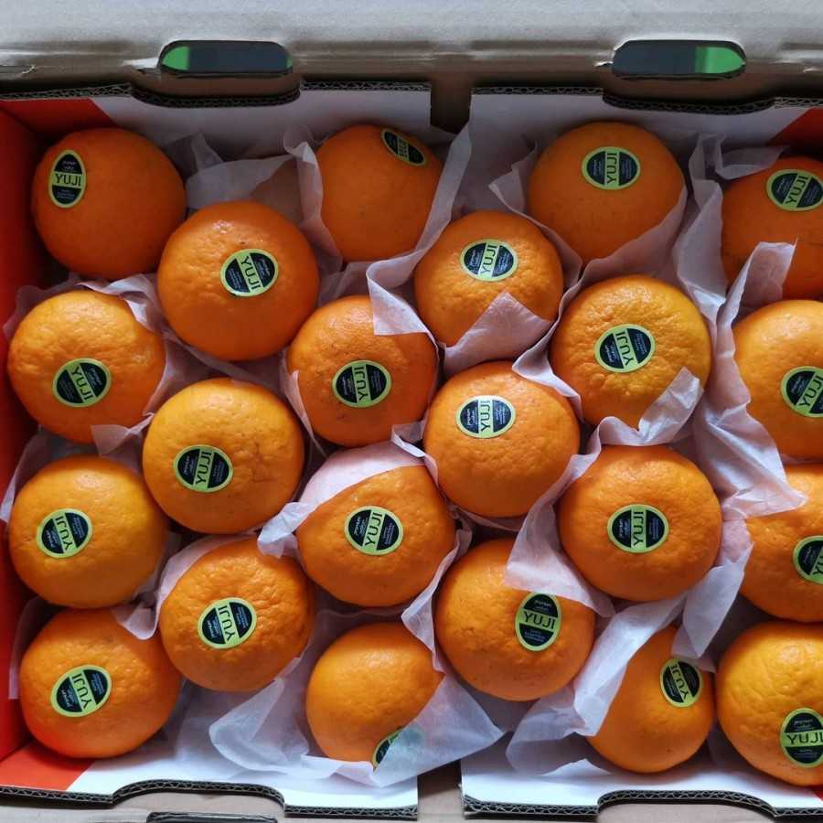 

BUAH JERUK WOKAM FRESH IMPORT PER KG