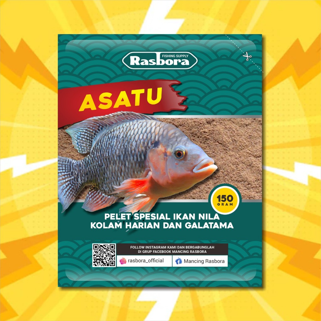 UMPAN RASBORA ASATU SPESIAL IKAN NILA