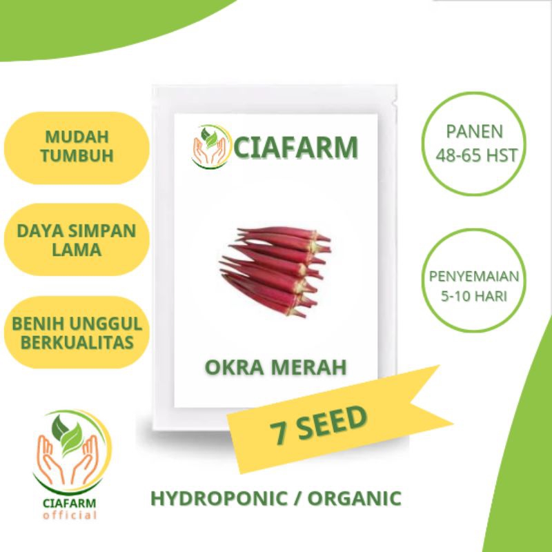 benih okra merah super