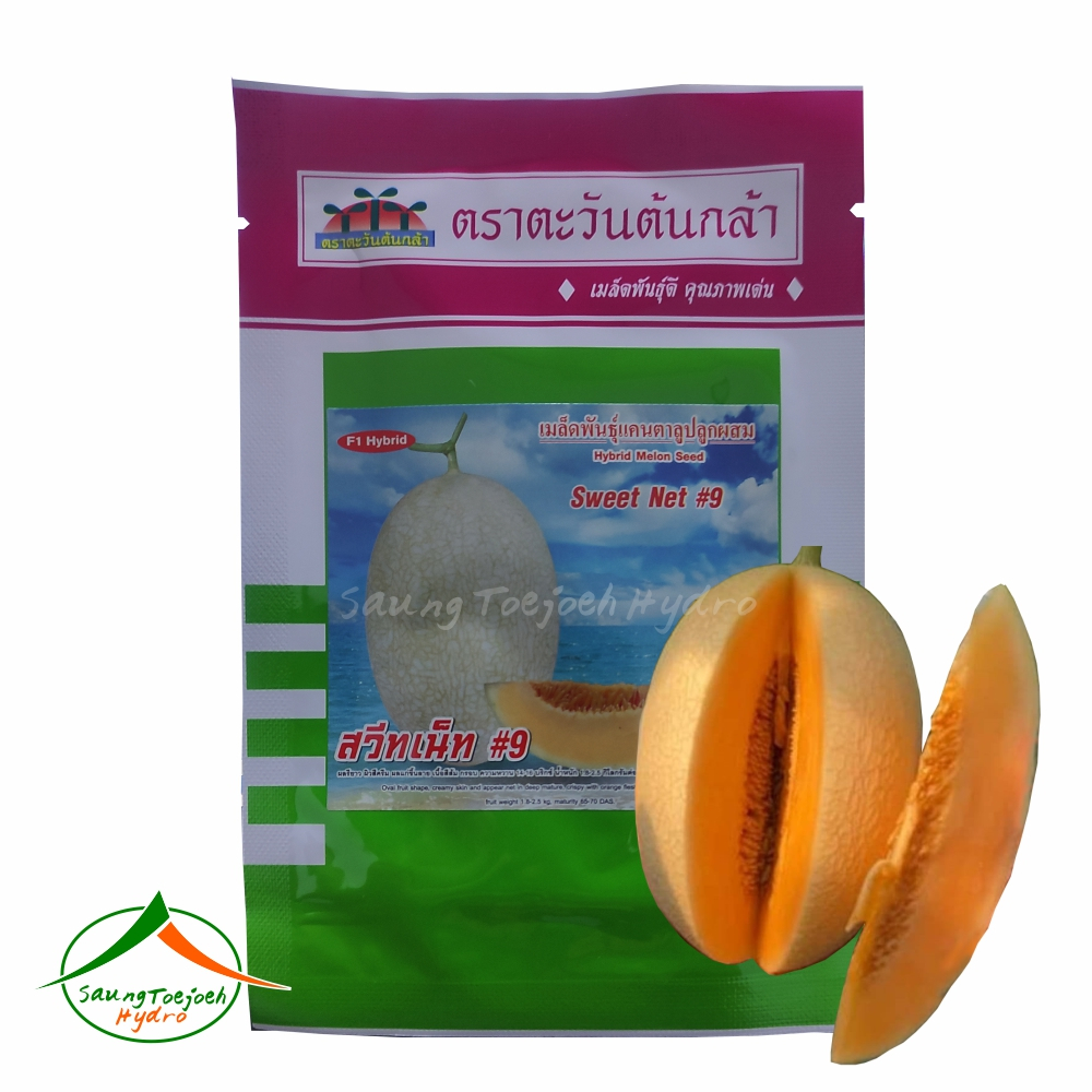 Benih melon sweet net.9 kemasan 10gr advance seed