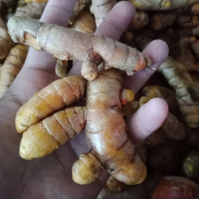 

KODE A Kunyit 250 gram dan 500 gram