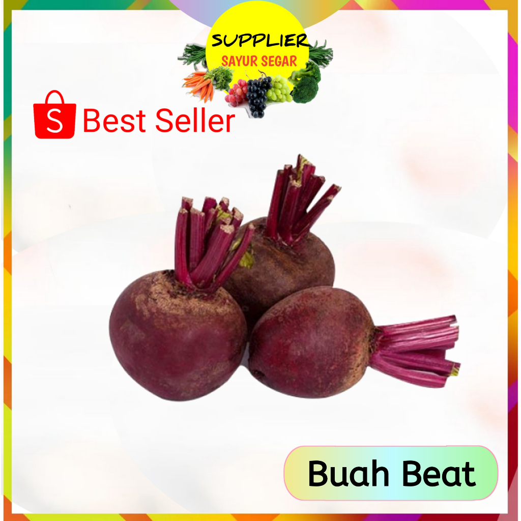 

Buah Bit Beet Per Pcs / Beet Bet - Buahan Segar Online Murah Palembang