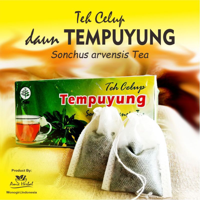 

teh celup daun tempuyung/herbal daun tempuyung/teh celup/daun tempuyung. Box isi 20 kantong celup.