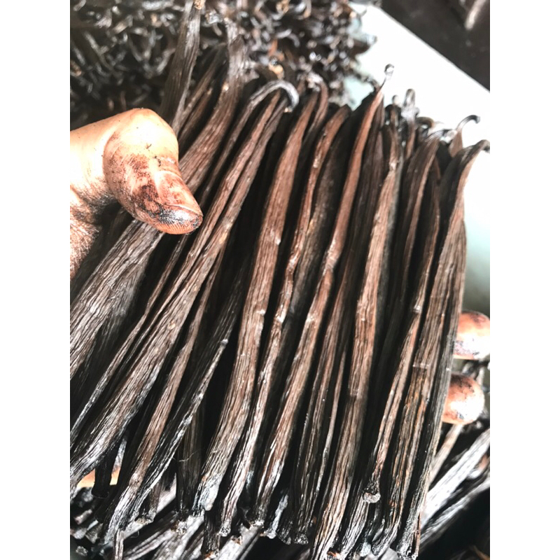 

Vanilla Beans Tahiti / Tahitensis Gourmet Grade A 1 Beans - 15 Gr