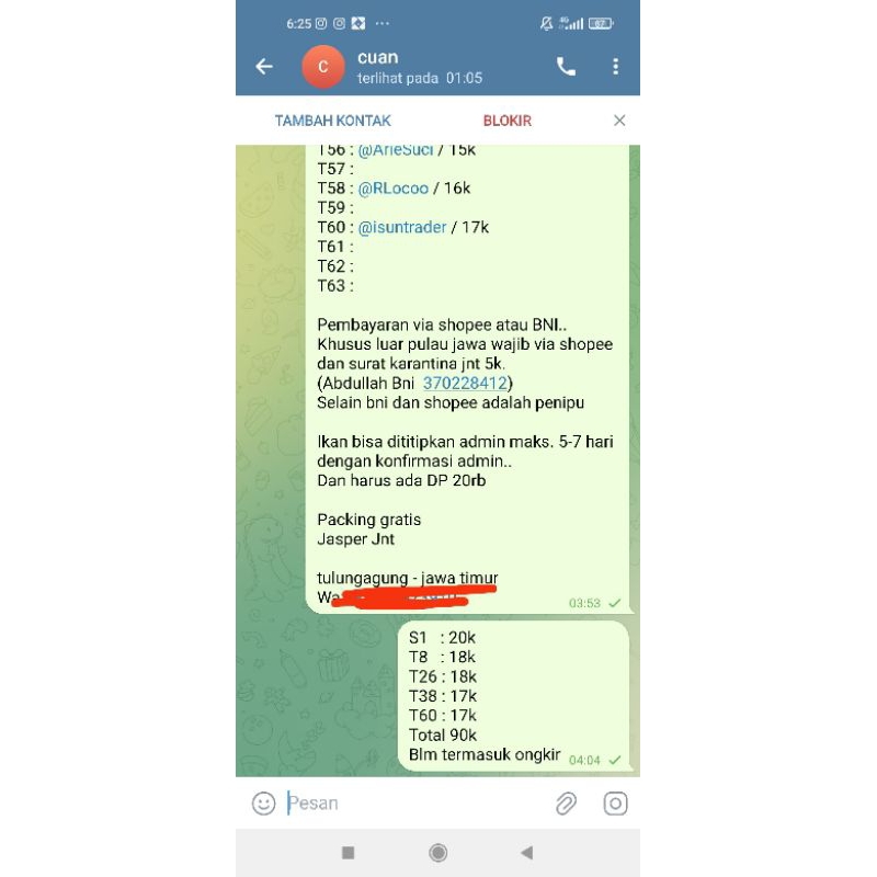 5 cupang kualitas bagus