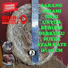 SARANG JERAMI DAMI AYAM BURUNG PERKUTUT KATE ANYAMAN BATANG PADI ALAS BERTELUR TERNAK BURUNG AYAM