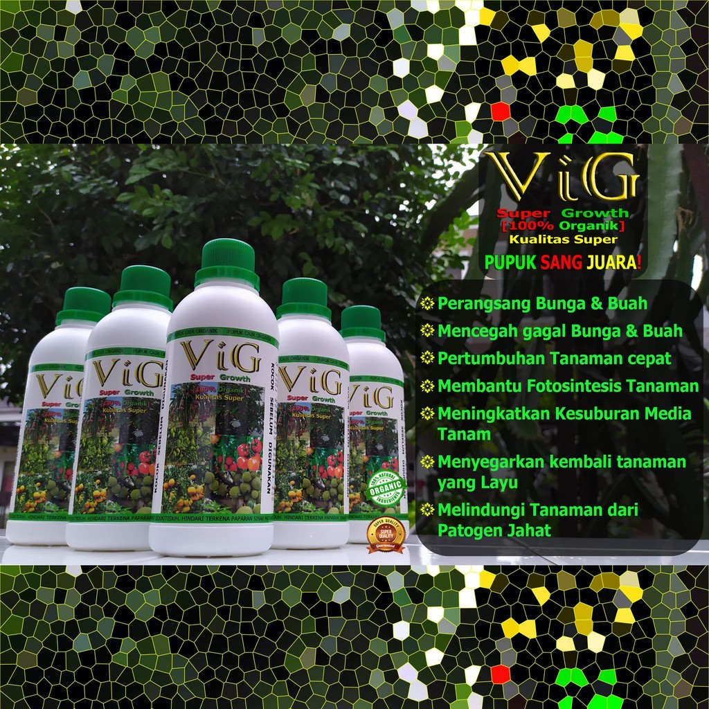 VIG SUPER GROWTH PUPUK PERANGSANG BUNGA BUAH Original Super Quality