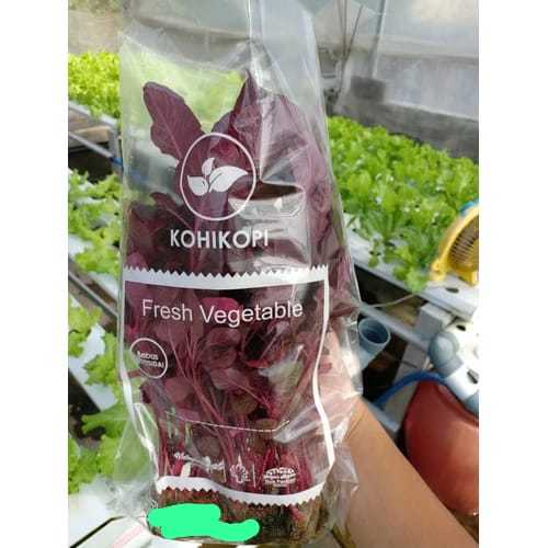 SABLON KEMASAN PLASTIK SAYUR HIDROPONIK 1 WARNA SESUAI NAMA PRODUK NAMA MERK CUSTOM