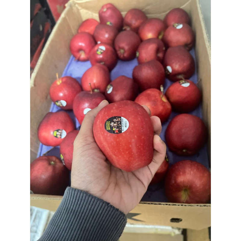 Buah apel merah washington 1kg
