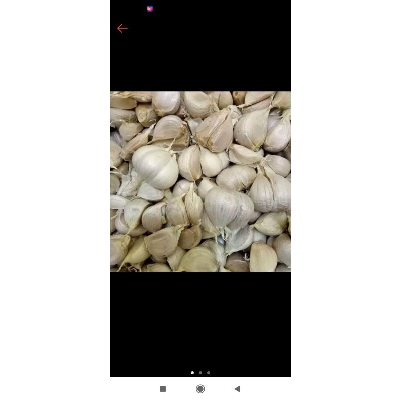 

bawang putih kating fresh premium 1/2.kg
