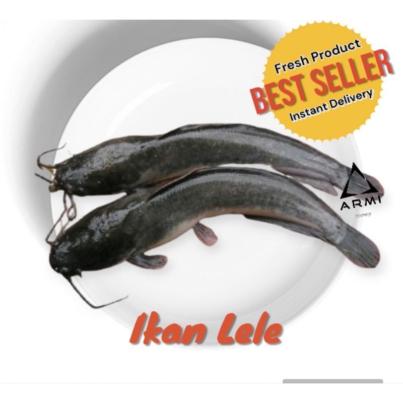 

Ikan Lele Bersih Dan Segar 500 Gram Fresh