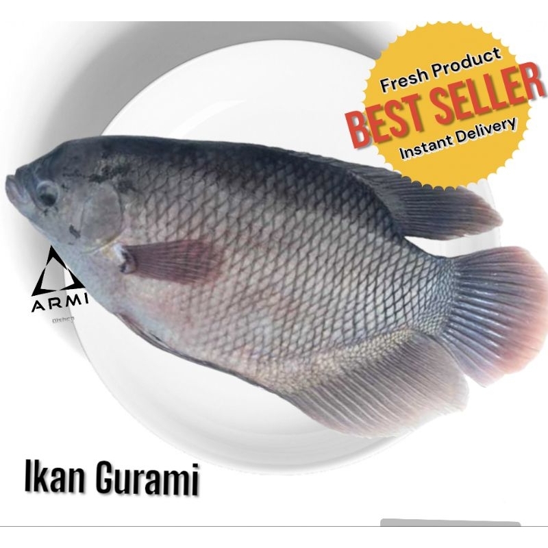 

Ikan Gurami Fresh 1 kg