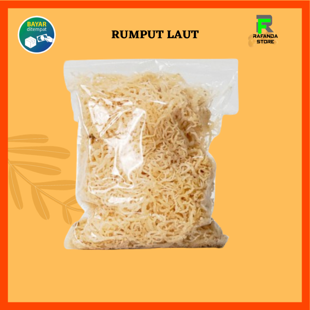 

Rumput Laut 1 Kg Kering Spinosum Kenyal Original Halal