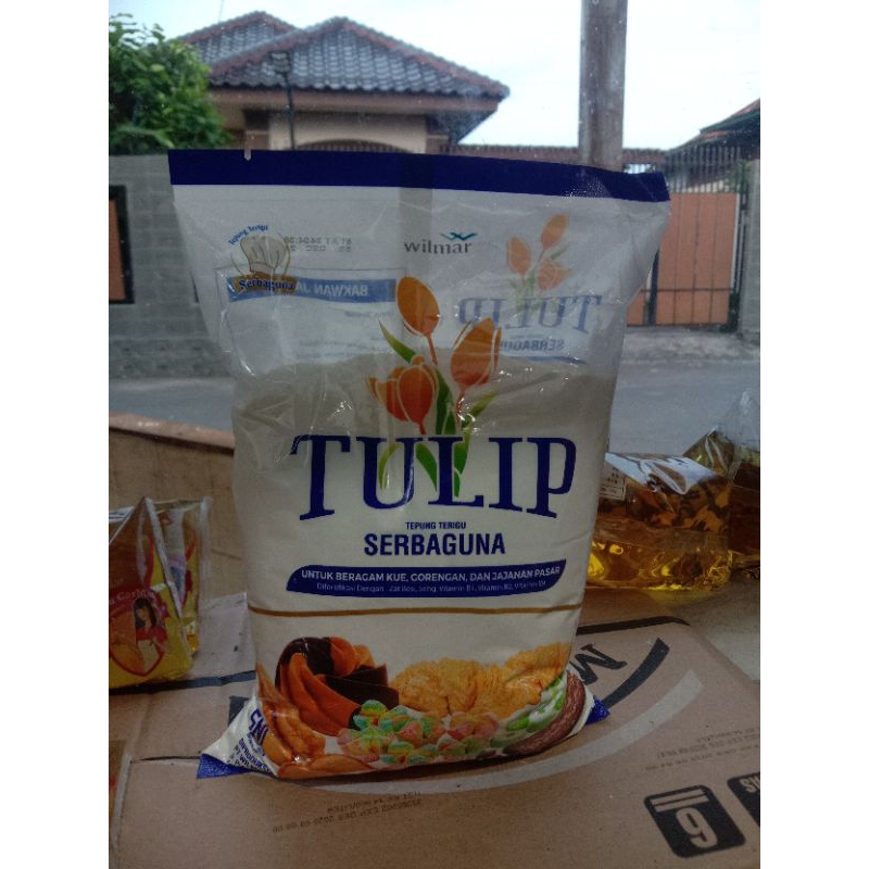 

terigutulip