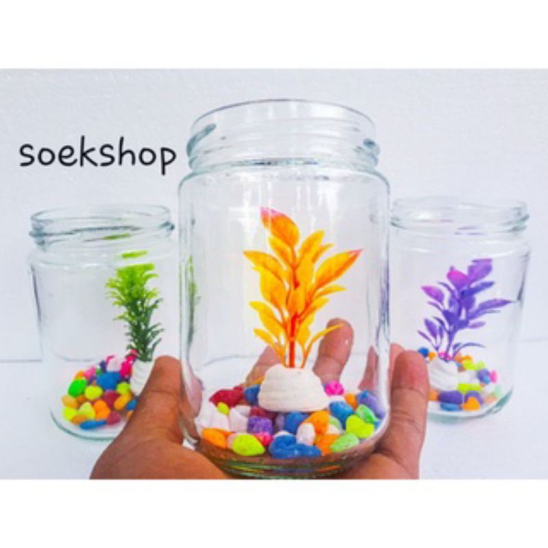 Toples Kaca Ikan Cupang, Toples Kaca ikan Hias, Aquarium Mini