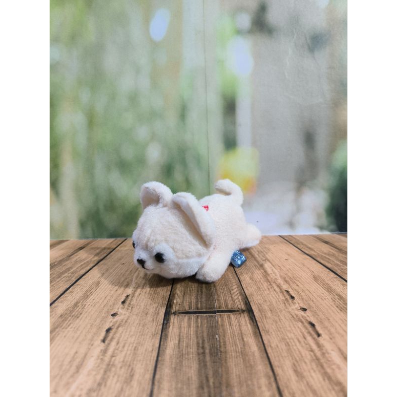 boneka shina inu/shiba inu boneka/shiba inu plush/amuse shiba inu plush/boneka amuse shiba inu/shiba