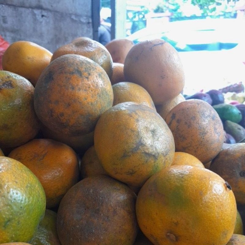 

jeruk medan brastagi harga per 1gram ya berarti sekilo 25rb