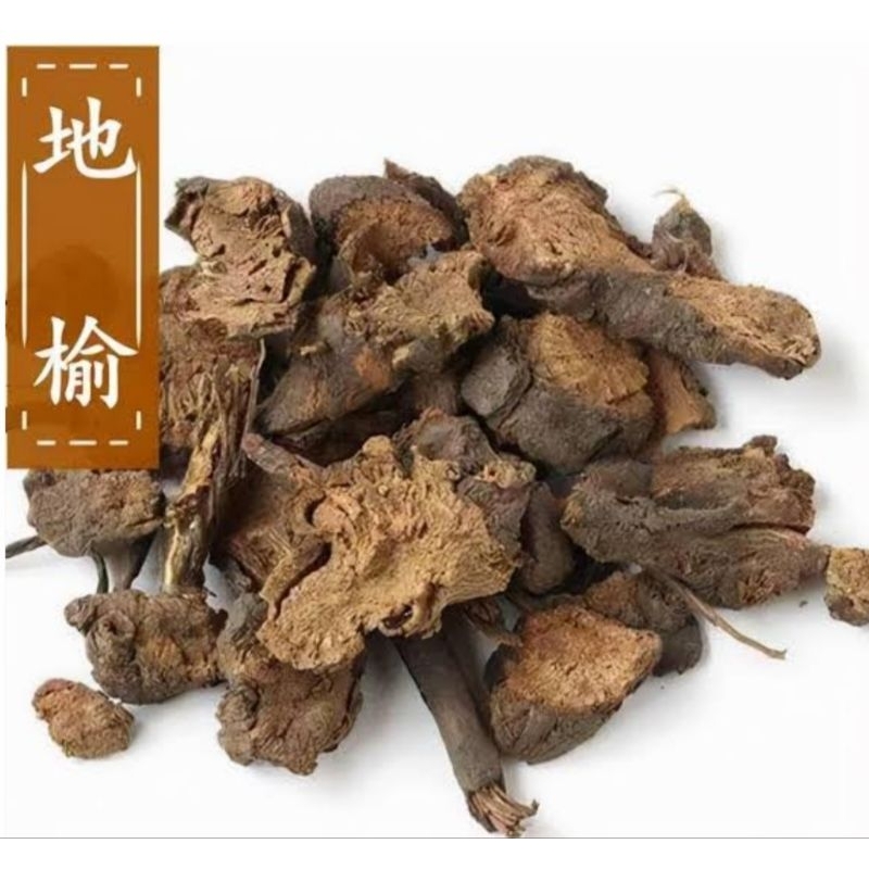 

Di Yu Pian 600 gram Sanguispora