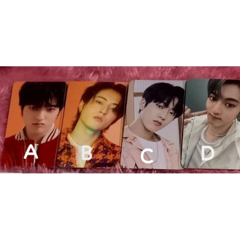 pc haruto treasure official