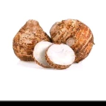 

ubi talas untuk di kukus 5000gr