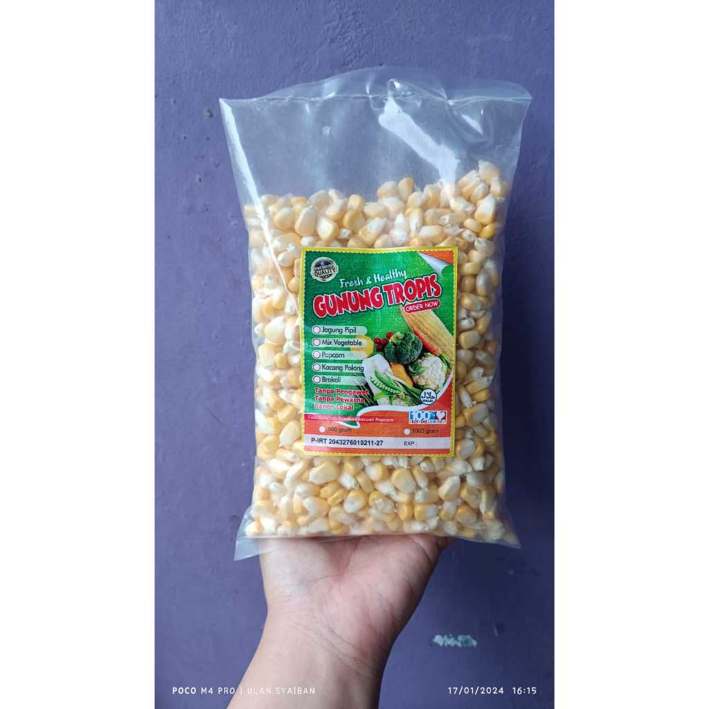 jagung manis pipil 500gr frozen ( bisa untuk jasuke )