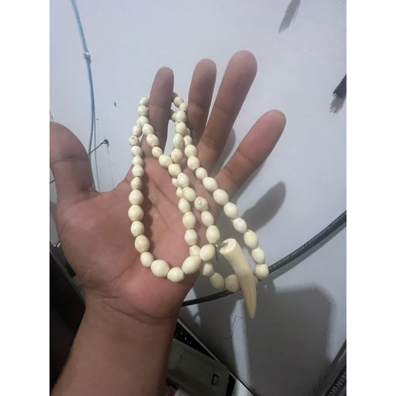 kalung tasbih 66 manik asli gading gajah