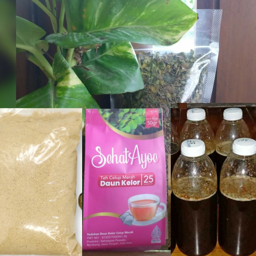 

Teh Merah Moringa Daun Kelor, Jahe Bubuk, Madu Hutan, dan Daun Kelor Kering Tubruk: Minuman Sehat, Hangat, Manis, dan Menyegarkan