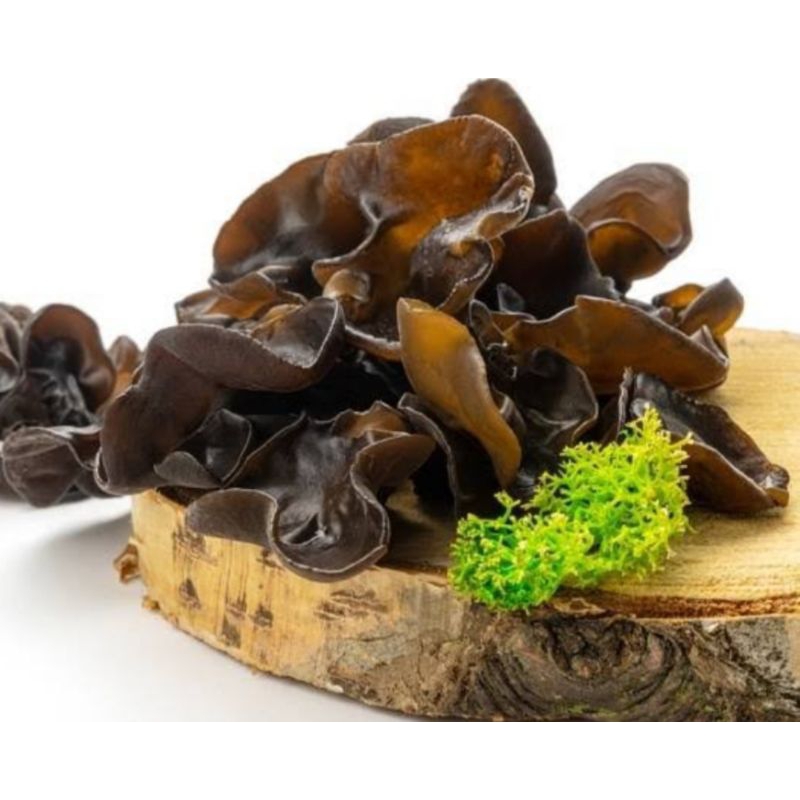 

Jamur Kuping Konsumsi Siap Olah Untuk Hidangan Makanan Setiap Hari Baik Untuk Kesehatan
