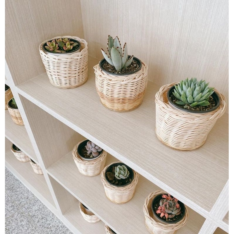 Cover Pot mini Rotan Vas bunga