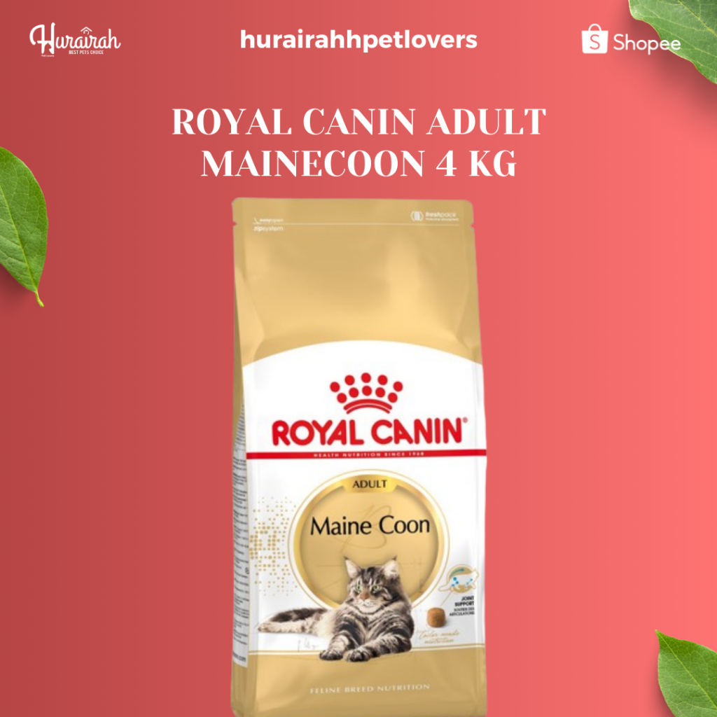 ROYAL CANIN ADULT MAINECOON 4 KG