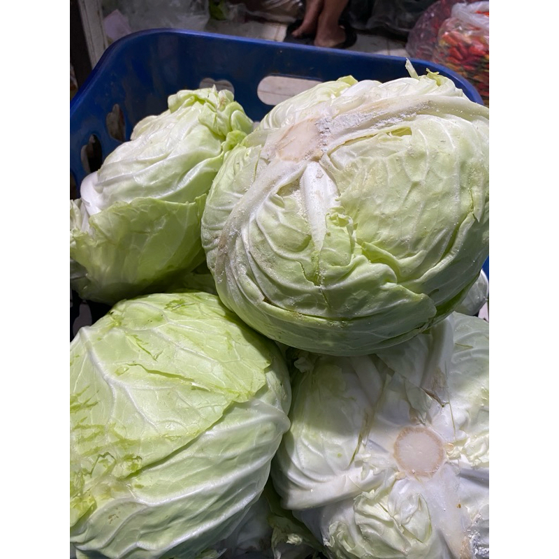

Sayur kol fress 500 g