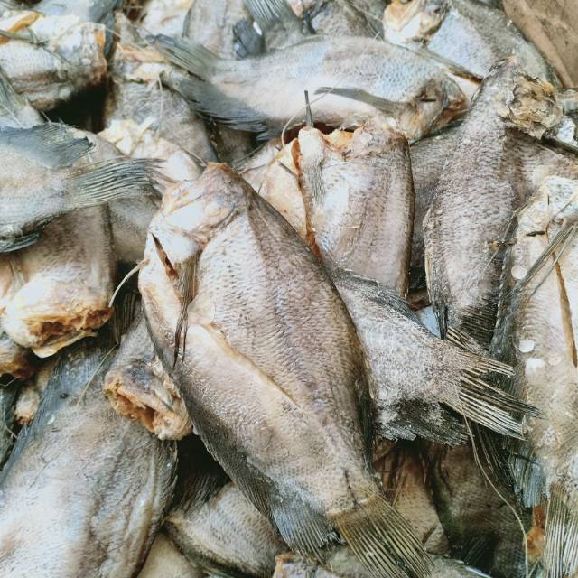 

ikan asin sepat ikan sepat uk besar kualitas super harga murah 1kg