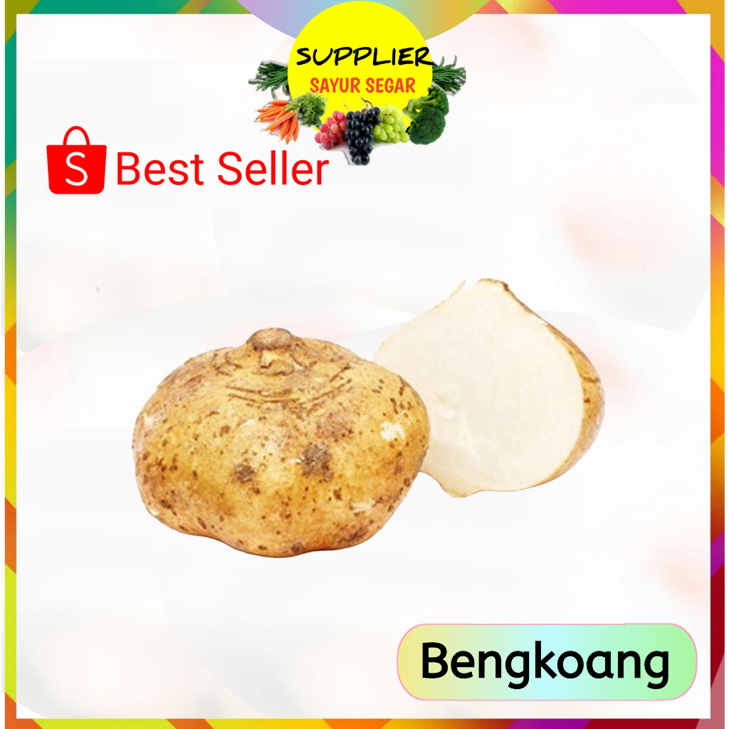 

Bengkoang - Supplier Sayur Sayuran Segar Palembang